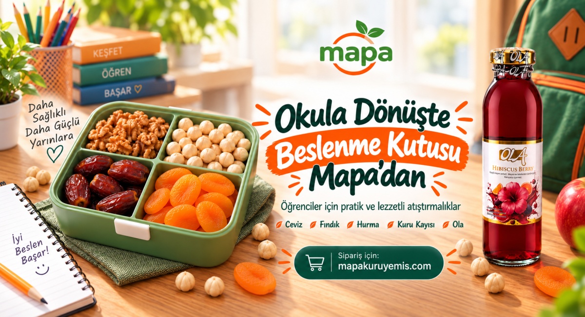 Okula Dönüşte Beslenme Kutusu Mapa'da